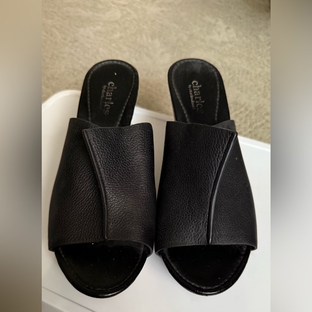 Charles David Black Women's Slide Sandals